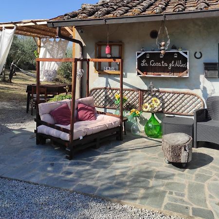 La Casa Tra Gli Ulivi Cortona Exterior foto