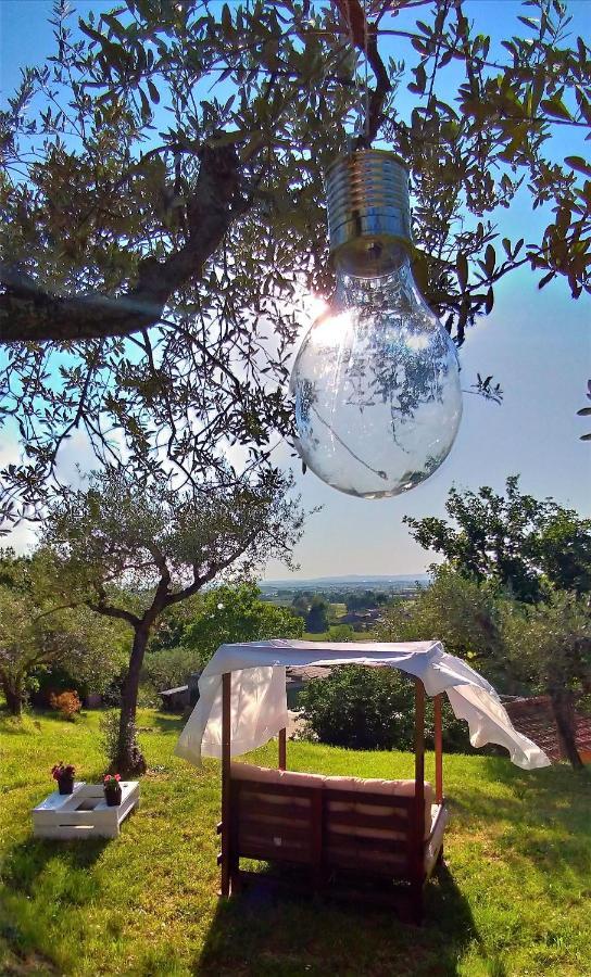La Casa Tra Gli Ulivi Cortona Exterior foto