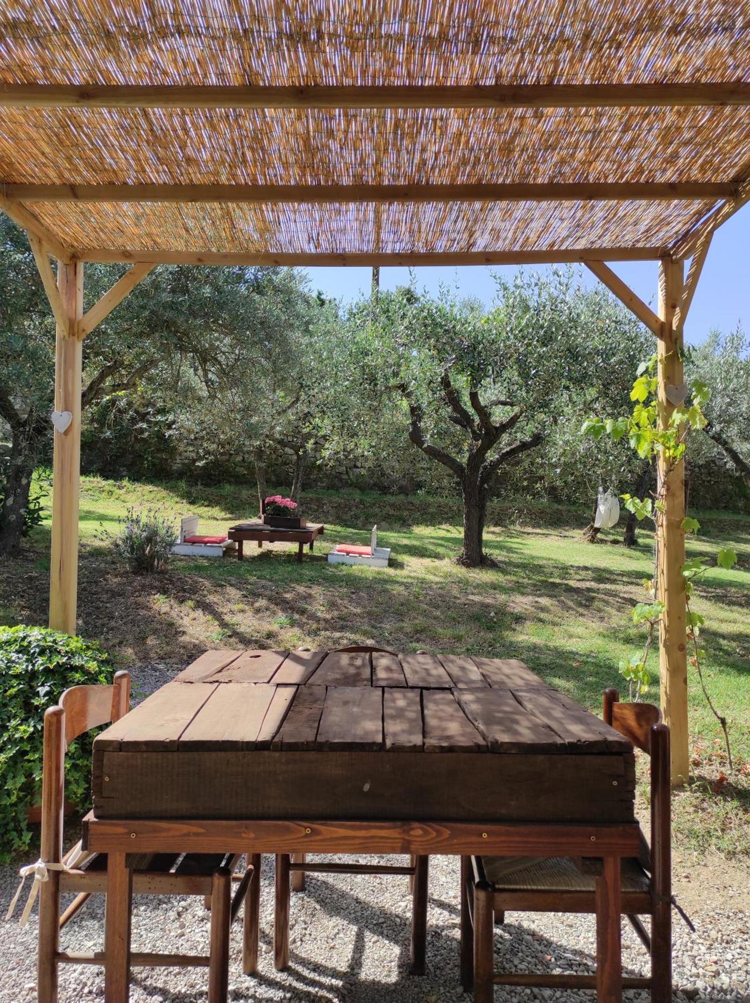 La Casa Tra Gli Ulivi Cortona Exterior foto